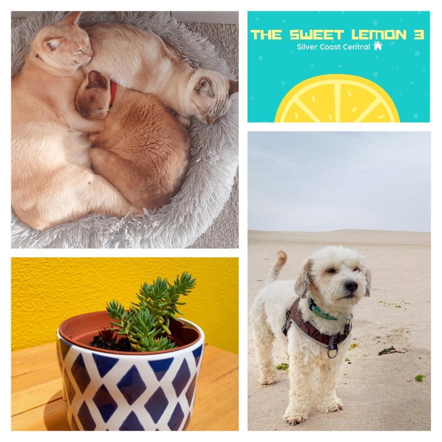 Апартаменты The Sweet Lemon 3 Бомбаррал Экстерьер фото